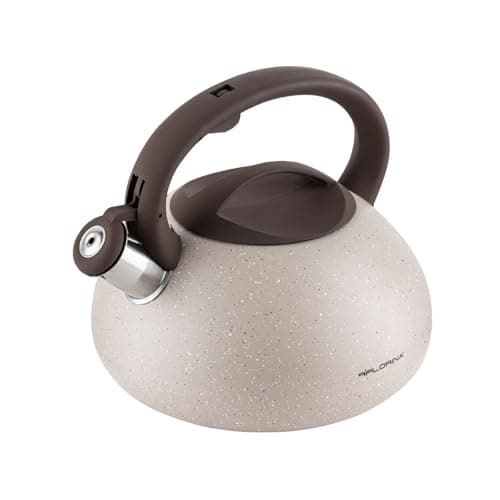 Bouilloire Sifflante Brillo Inox 2,5 L Gris Clair Thé Café