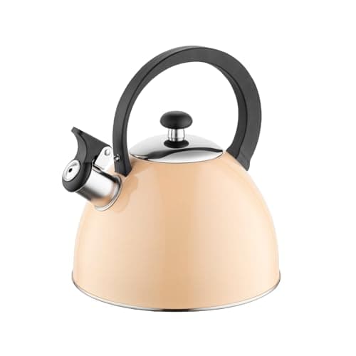 Bouilloire Sifflante Brillo Inox 2,5 L Gris Clair Thé Café