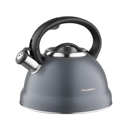 Bouilloire Sifflante Brillo Inox 2,5 L Gris Clair Thé Café