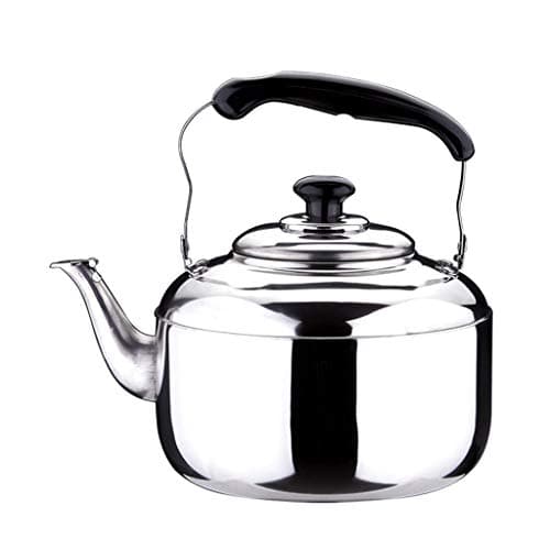 Sharplace Bouilloire 4L en Acier Inoxydable Poignée Dessus, Bouilloire Multifonction pour Eau Chaude, Thé, Café, Lait, G