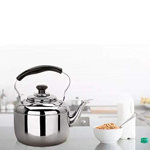 Sharplace Bouilloire 4L en Acier Inoxydable Poignée Dessus, Bouilloire Multifonction pour Eau Chaude, Thé, Café, Lait, G