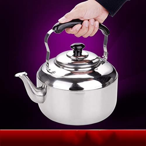 Sharplace Bouilloire 4L en Acier Inoxydable Poignée Dessus, Bouilloire Multifonction pour Eau Chaude, Thé, Café, Lait, G