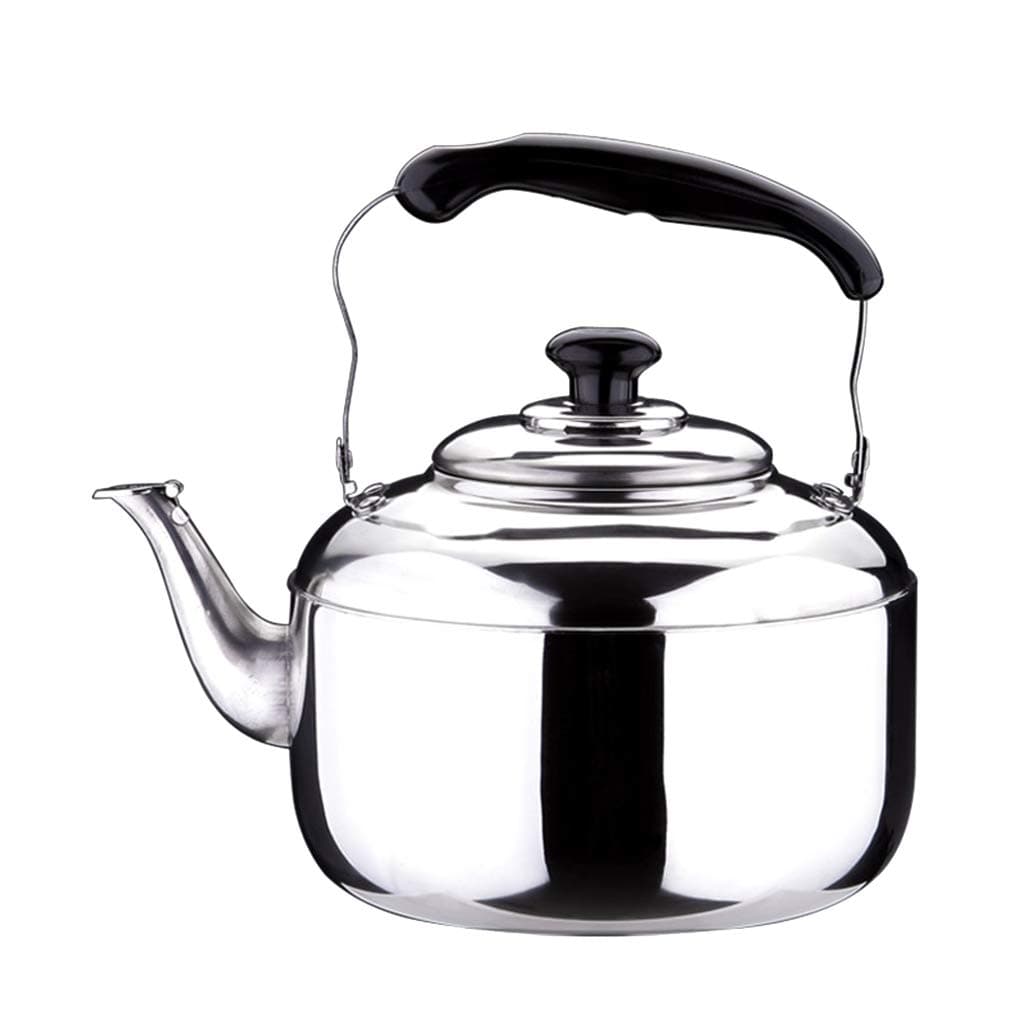 Sharplace Bouilloire 4L en Acier Inoxydable Poignée Dessus, Bouilloire Multifonction pour Eau Chaude, Thé, Café, Lait, G