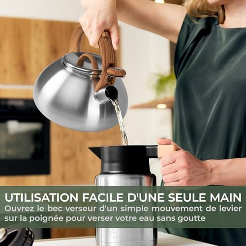 Bouilloire INOX Vintage WALDWERK 2,3 L pour Induction et Gaz - Poignée Aspect Bois - Sifflante